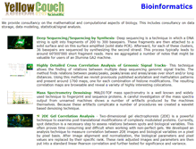 Tablet Screenshot of analysis.yellowcouch.org